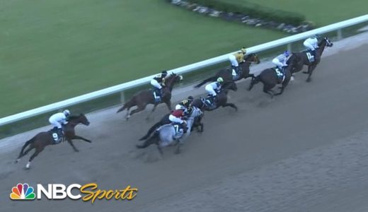 社台SSが4戦無敗のアーカンソーダービー馬、ナダル(3歳)を導入