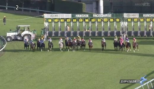 16着ノームコア横山典「ハナに行くのは、この馬の武器だと思っていた。