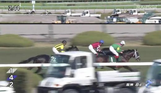 オジュウチョウサン、障害に脚をぶつけて怯んでいた