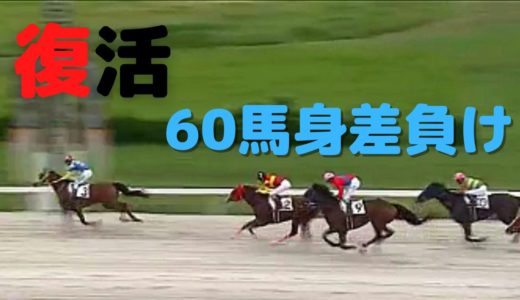 超良血馬サングノーブル、未勝利戦で６０馬身離され見捨てられるも奇跡の中央生還！