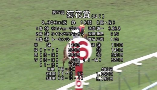 11年菊花賞 1着オルフェーヴル2着ウインバリアシオン3着京都専用機トーセンラー お馬さん速報