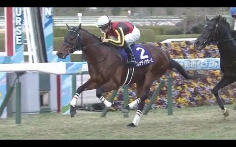 種牡馬フランケルって誰がどう見ても適性が　日本＞＞＞＞＞欧州　だよな？