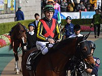 【朗報】吉田俊介代表「有馬を盛り上げたい。向かえる馬がいたらいつも向かいたい」