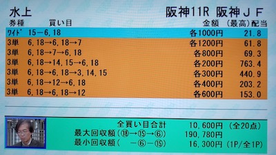 1100円(税込)で買う水上学の予想がこちら