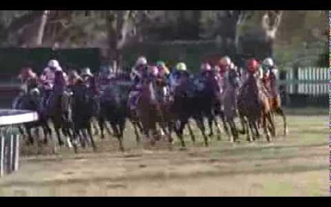 引退レースがベストレースだった馬