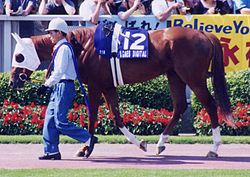 芝とダートの両方で重賞を勝ってる馬といえば