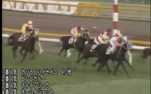 日本ダービー史上最高のパフォーマンスを見せた勝馬といえば お馬さん速報