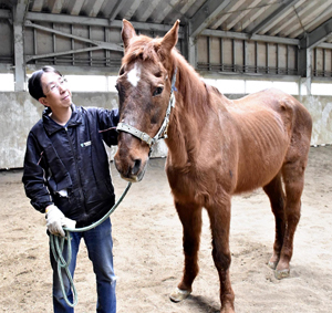 乗馬クラブで30年間活躍した36歳馬が大往生　職員「ここまで生きたのは奇跡に近い」