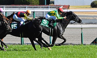 大谷翔平「競馬詳しくないがサトノノブレスは知ってる