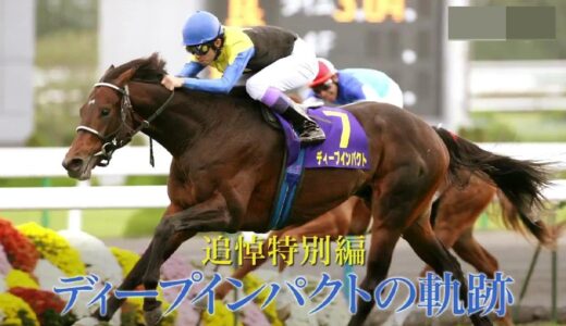 純粋な疑問なんだけど なんで競馬板ってアンチディープが多いの お馬さん速報