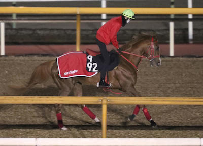 長身ルーキー松本くんの足が細すぎる