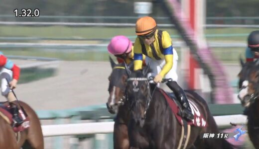 阪神の馬場が高速なのに外差しなんだが…