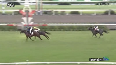 ホープフルSでダノンザキッドと差のない競馬をしたヨーホーレイクの皐月賞の想定が11番人気な件