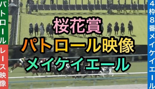 ソングラインてメイケイエールのせいで桜花賞勝てなかったよね