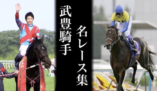 武が引退した後の競馬人気、ガチでヤバい