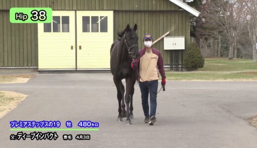 サイバーエージェント・藤田晋氏、ディープインパクト産駒のプレミアステップス19をセリ史上5位の4億7010万円で落札