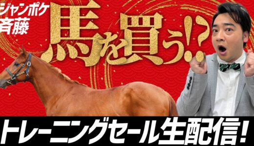 HBAトレーニングセール最高落札はモーリス産駒！キズナ産駒は主取