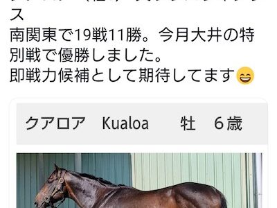 南関東最強の呼び声も高い11勝馬「クアロア」を人気馬主「ぐりぐり君」が購入し、園田に移籍させ物議ww