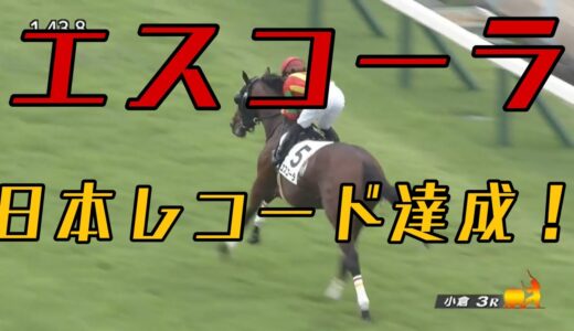 小倉競馬場造園課「どや？これが小倉造園課の技術やぞ！本部はボーナスくれ！」