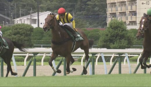 岩田望来とはなんだったのか