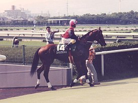 G1級の実力はあったのに結局勝てなかった馬を挙げて飯を食え