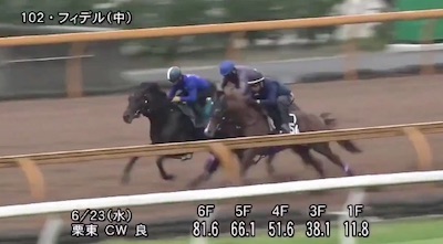 今週は有力2歳馬が続々登場！　小倉の新馬戦では2億円馬フィデルと1億円馬ダノンピーカブーが激突！