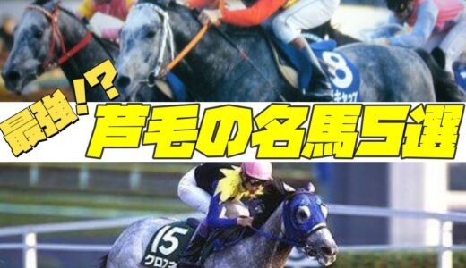 3大日本を代表する芦毛の名馬「オグリキャップ」「メジロマックイーン」