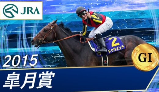 完璧に乗った馬が負けたレース