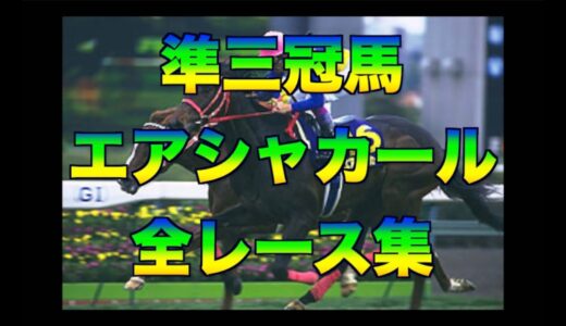 エアシャカールという過小評価された馬