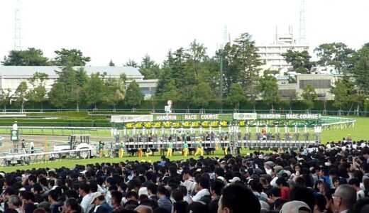 おそらく競馬板で生観戦したのは自分だけだろうと思うレース