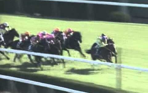 マヤノトップガンってG1を4勝した馬のわりに最強馬論争に上がらないよな