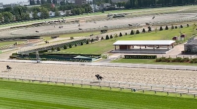 藤田晋ドーブネの追い切りに騎乗した武豊「行きたがって難しいけど良い馬」1500mでデビューへ