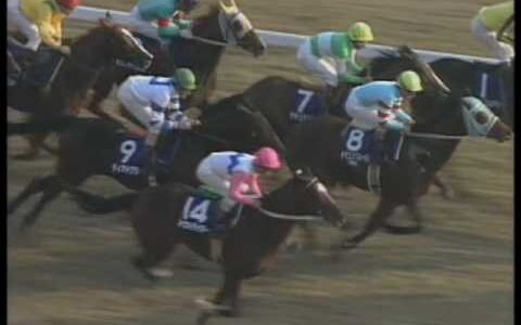 好きなジャパンカップの勝ち馬