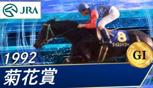 ライスシャワーがミホノブルボンの三冠阻んだ時の競馬板の空気どうだったの？