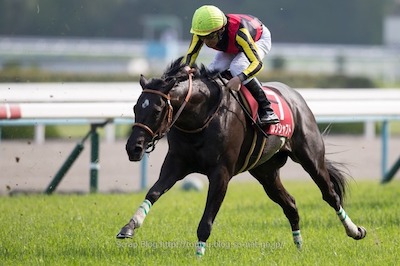 頭下げて走る馬ってかっこいいよな 競馬情報まとめアンテナ