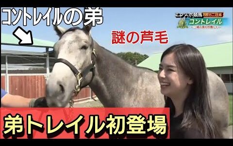 コントレイルの全弟サンセットクラウド10/16満を持してデビュー