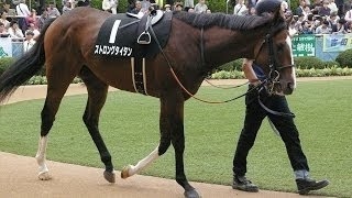 競馬知らないヤツが馬名だけ見て、コイツが一番強いと思われる馬