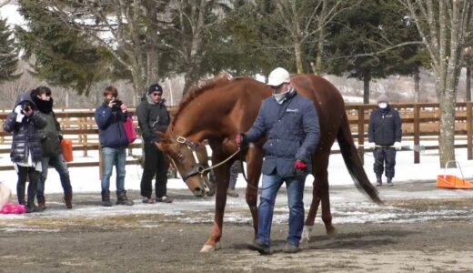 父や母父で名前を見たことあるけど正直よく知らない種牡馬