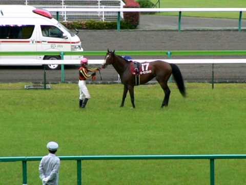 馬が予後不良になって泣いた優しい騎手いるの ケイバペディア