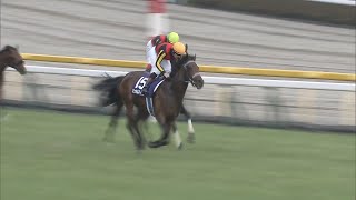 シュネルマイスター圧巻のラスト１１・２秒　横山武史騎手「すごい馬ですね」