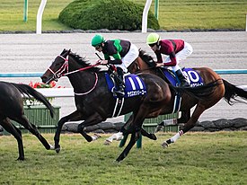 ラヴズオンリーユー、香港カップで引退……北海道のノーザンファームで繁殖牝馬となる