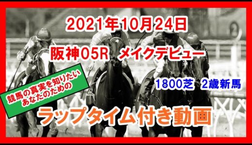 【本日の注目馬2頭】大塚亮一の4.7億円馬リアド、ぐりぐり君の最高落札額馬ボルザコフスキーが出走