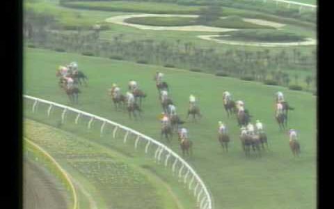 競馬素人だけど日本の競馬場ってどこも似たような楕円ばっかで面白みがなさそうだな