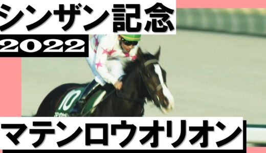 マテンロウオリオン　新馬負け→500万下勝利→G3勝利