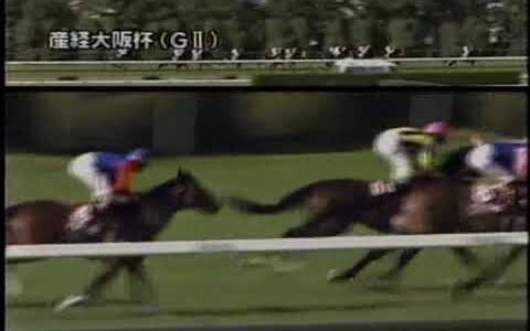 昔のレース映像見てるとサイレントハンターって馬がやたら出てくるんだが