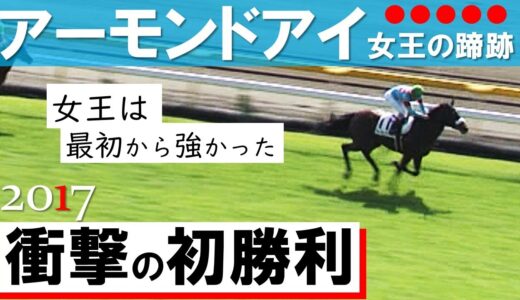 意外なレースに出走経験がある馬