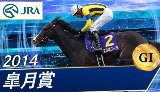 G1レース1勝なのにネームバリューがデカい馬