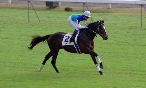 純粋な競馬ファンのワイ、ウマ娘界隈が名馬につける変な略称にブチギレる