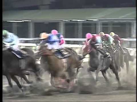 【訃報】ノボジャック死去 ケイバペディア