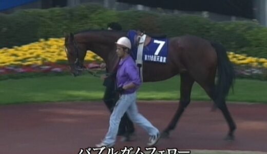 競馬にわか「エアグルーヴってオークスと天皇賞しかG1勝ってないのになんで評価こんなに高いの？」